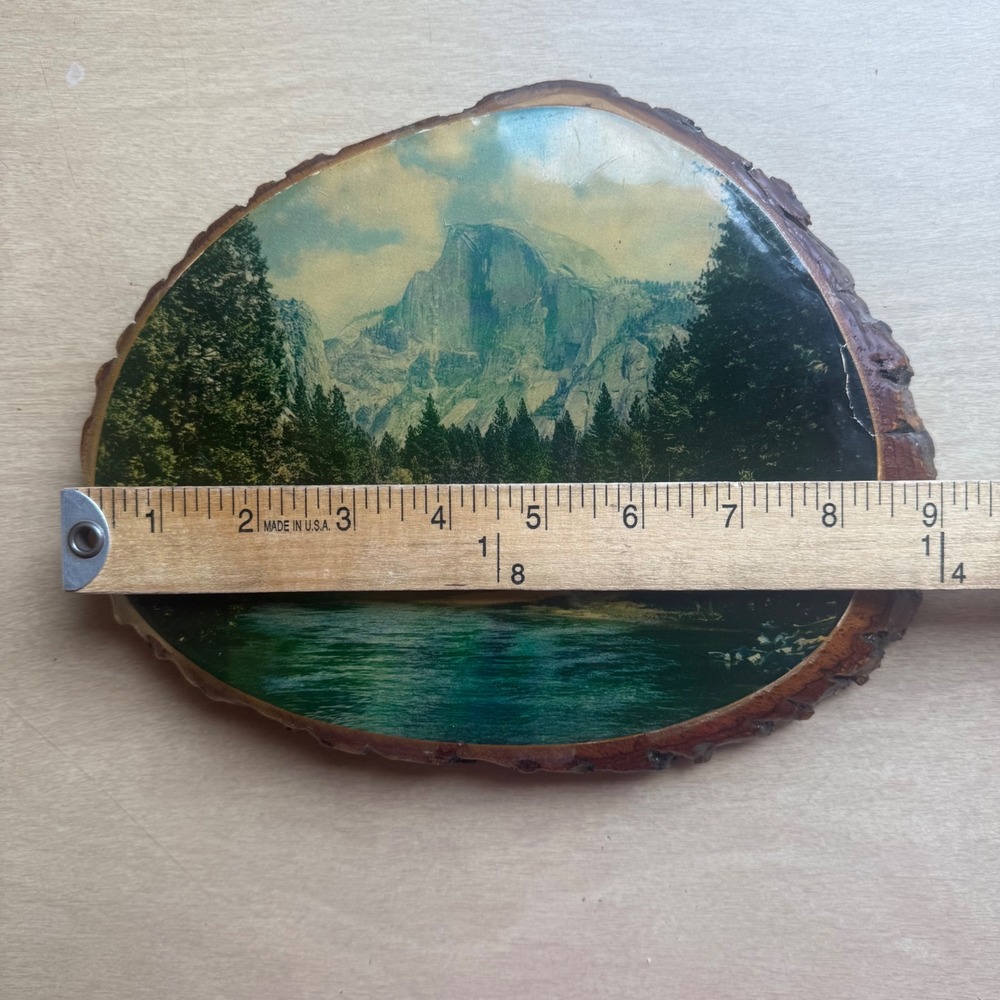 50 Special Plaque Yosemite Wood Slice Wall Art Half Dome Good 8.75in x 7.25in - Picture 5 of 10